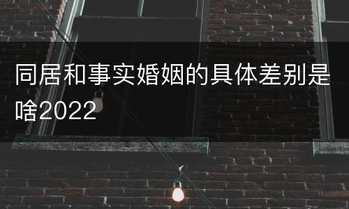 同居和事实婚姻的具体差别是啥2022