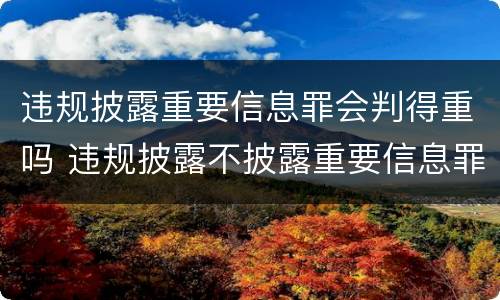 违规披露重要信息罪会判得重吗 违规披露不披露重要信息罪 主体