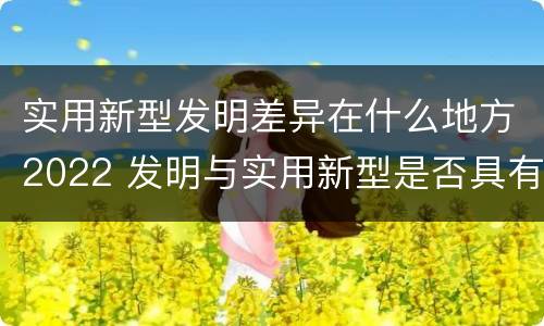 实用新型发明差异在什么地方2022 发明与实用新型是否具有实用性
