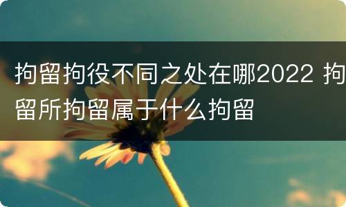 拘留拘役不同之处在哪2022 拘留所拘留属于什么拘留