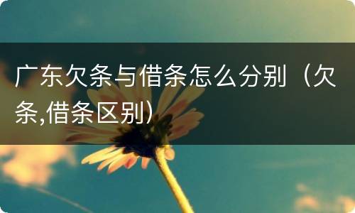 广东欠条与借条怎么分别（欠条,借条区别）