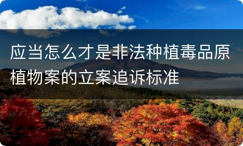 应当怎么才是非法种植毒品原植物案的立案追诉标准