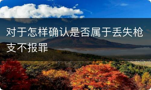 对于怎样确认是否属于丢失枪支不报罪