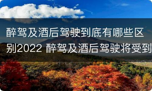醉驾及酒后驾驶到底有哪些区别2022 醉驾及酒后驾驶将受到怎样的处罚