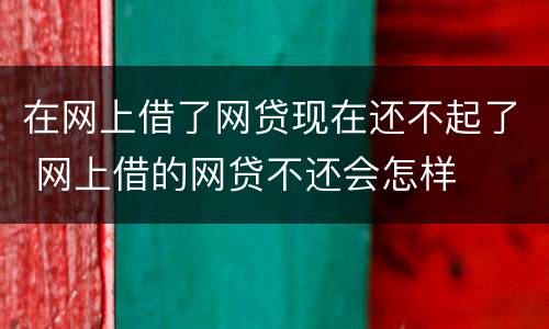 在网上借了网贷现在还不起了 网上借的网贷不还会怎样