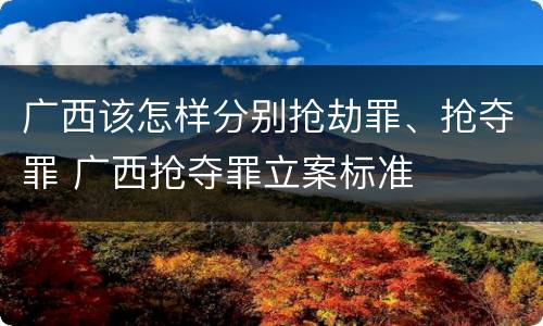 广西该怎样分别抢劫罪、抢夺罪 广西抢夺罪立案标准