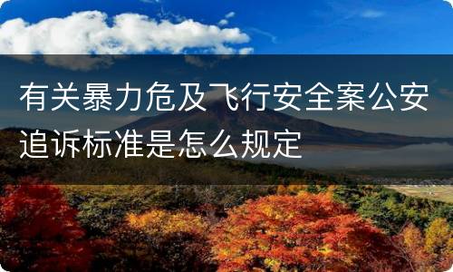 有关暴力危及飞行安全案公安追诉标准是怎么规定