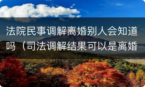 法院民事调解离婚别人会知道吗（司法调解结果可以是离婚吗）