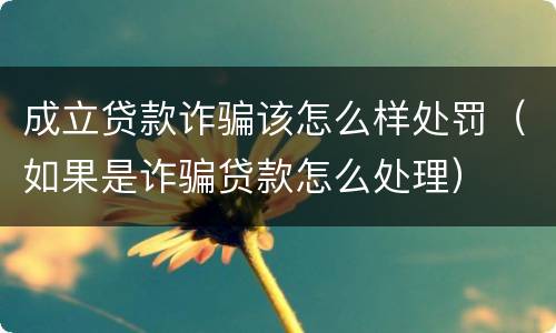 成立贷款诈骗该怎么样处罚（如果是诈骗贷款怎么处理）