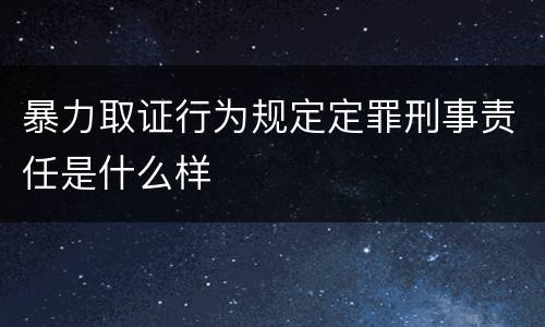 暴力取证行为规定定罪刑事责任是什么样