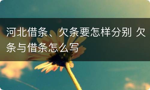 河北借条、欠条要怎样分别 欠条与借条怎么写