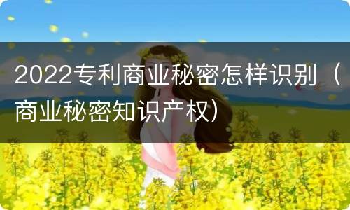 2022专利商业秘密怎样识别（商业秘密知识产权）