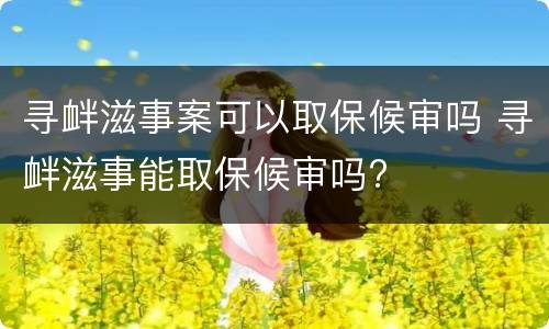 寻衅滋事案可以取保候审吗 寻衅滋事能取保候审吗?