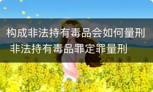 构成非法持有毒品会如何量刑 非法持有毒品罪定罪量刑