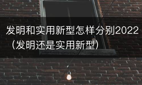 发明和实用新型怎样分别2022（发明还是实用新型）