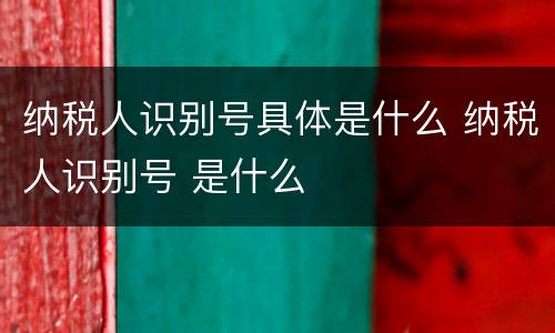 纳税人识别号具体是什么 纳税人识别号 是什么