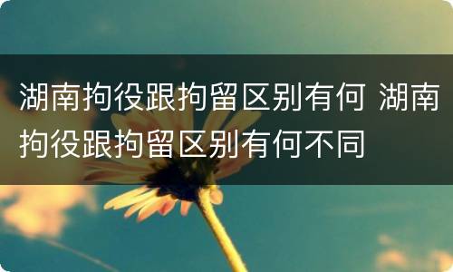 湖南拘役跟拘留区别有何 湖南拘役跟拘留区别有何不同