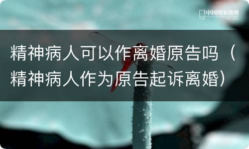 精神病人可以作离婚原告吗（精神病人作为原告起诉离婚）