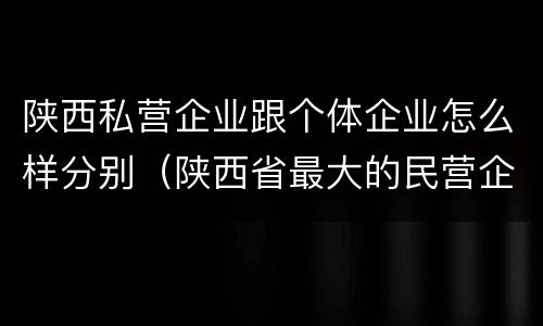 陕西私营企业跟个体企业怎么样分别（陕西省最大的民营企业是什么公司）
