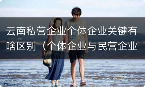 云南私营企业个体企业关键有啥区别（个体企业与民营企业有啥不同）