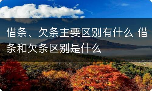 借条、欠条主要区别有什么 借条和欠条区别是什么