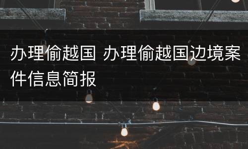 办理偷越国 办理偷越国边境案件信息简报