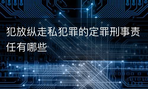 犯放纵走私犯罪的定罪刑事责任有哪些