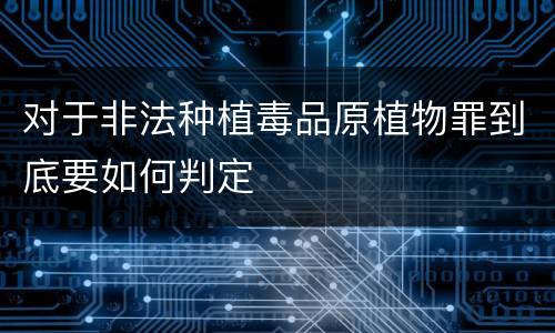 对于非法种植毒品原植物罪到底要如何判定