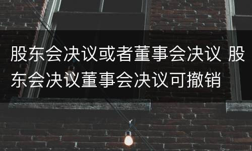 股东会决议或者董事会决议 股东会决议董事会决议可撤销