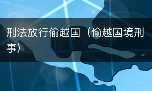 刑法放行偷越国（偷越国境刑事）