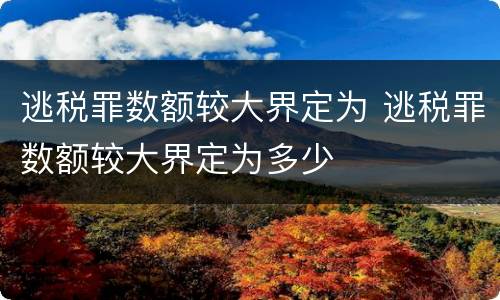 逃税罪数额较大界定为 逃税罪数额较大界定为多少