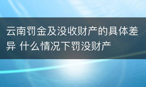 云南罚金及没收财产的具体差异 什么情况下罚没财产