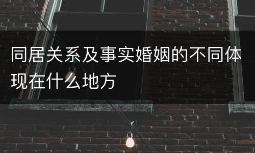 同居关系及事实婚姻的不同体现在什么地方