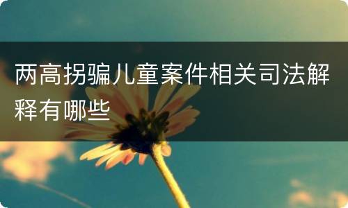 两高拐骗儿童案件相关司法解释有哪些