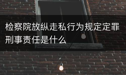检察院放纵走私行为规定定罪刑事责任是什么