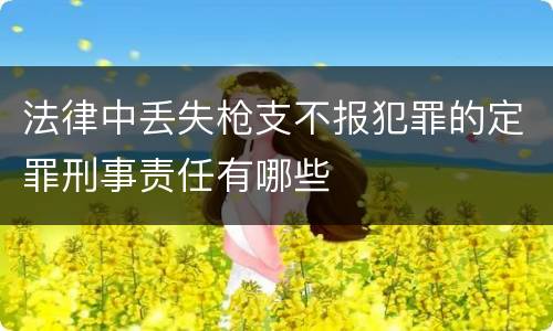 法律中丢失枪支不报犯罪的定罪刑事责任有哪些