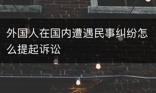 外国人在国内遭遇民事纠纷怎么提起诉讼