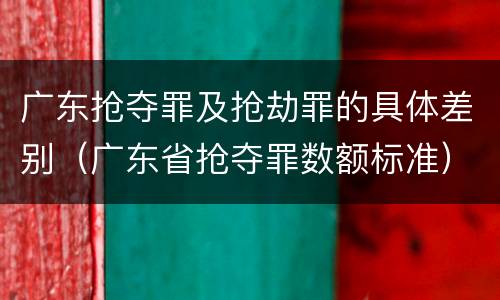 广东抢夺罪及抢劫罪的具体差别（广东省抢夺罪数额标准）