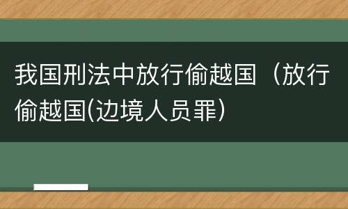 我国刑法中放行偷越国（放行偷越国(边境人员罪）
