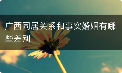 广西同居关系和事实婚姻有哪些差别