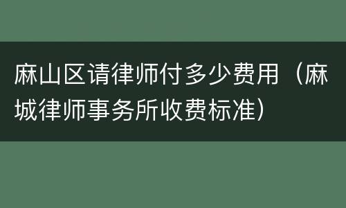 麻山区请律师付多少费用（麻城律师事务所收费标准）