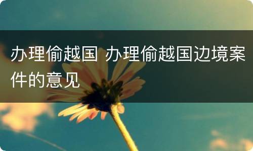 办理偷越国 办理偷越国边境案件的意见
