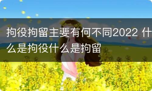拘役拘留主要有何不同2022 什么是拘役什么是拘留