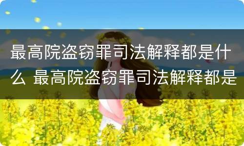 最高院盗窃罪司法解释都是什么 最高院盗窃罪司法解释都是什么规定