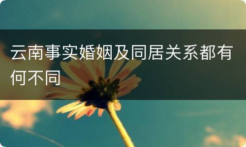 云南事实婚姻及同居关系都有何不同