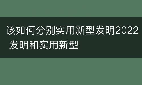 该如何分别实用新型发明2022 发明和实用新型