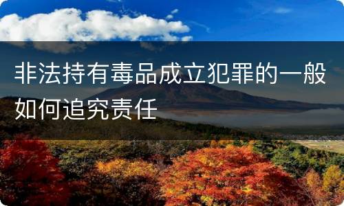 非法持有毒品成立犯罪的一般如何追究责任