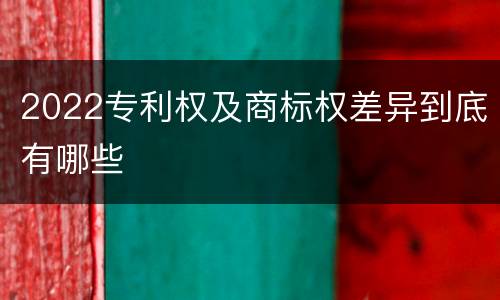 2022专利权及商标权差异到底有哪些