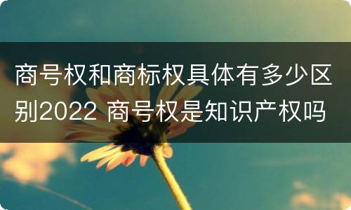 商号权和商标权具体有多少区别2022 商号权是知识产权吗