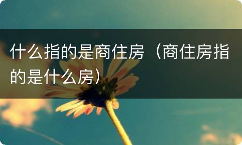 什么指的是商住房（商住房指的是什么房）